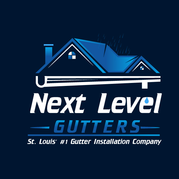 Next Level Gutters