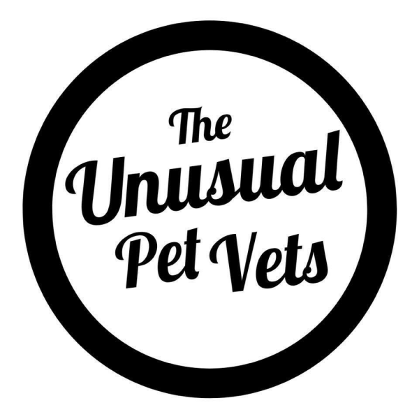 The Unusual Pet Vets Gold Coast