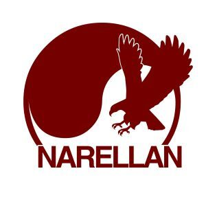 Kinetic Martial Arts Narellan