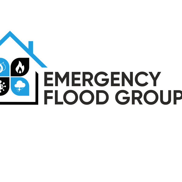 Emergency Flood Group