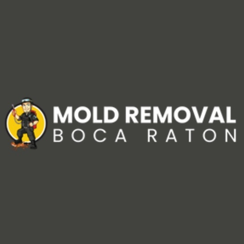 Boca Raton Mold Removal