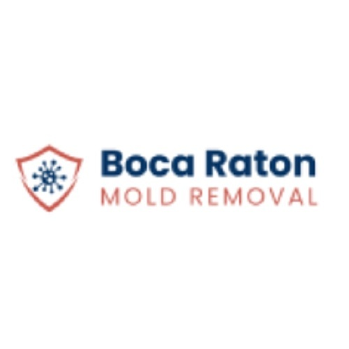 Boca Raton Mold Removal