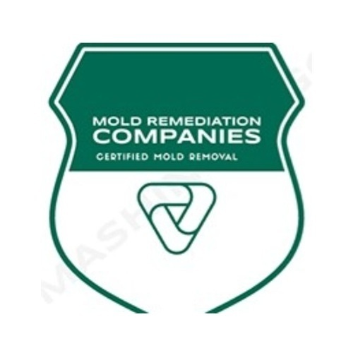 Kalamazoo Mold Remediation Pros