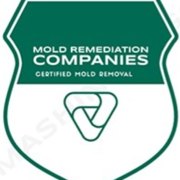 Service Pros Restoration of Castle Rock