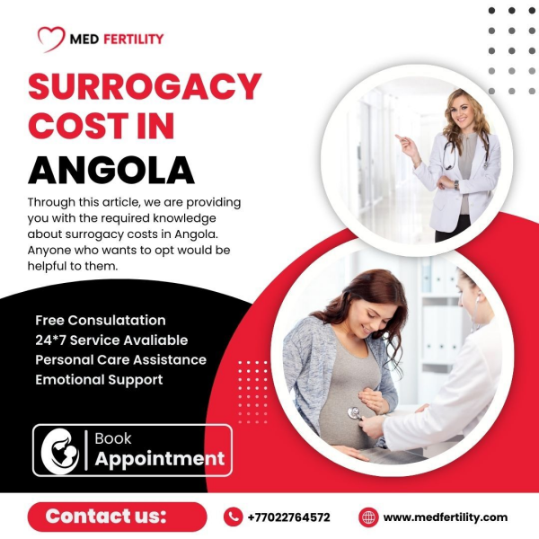 Surrogacy Cost in Angola
