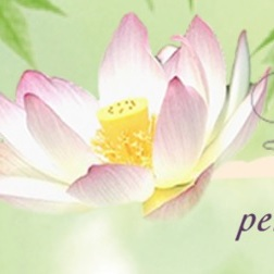 Living Wellness Day Spa, Massage, Facials, Hot Springs AR