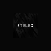 Steleo Agency