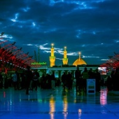 Prof. Christina Haag