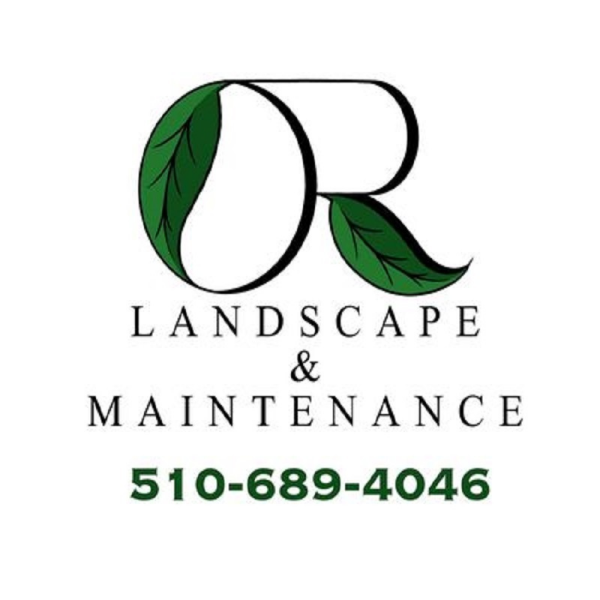 Samina Silk & Shine Beauty