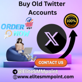Buy Old Twitter Accounts