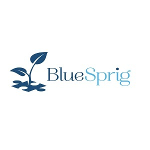 BlueSprig Smyrna - ABA Therapy for Autism