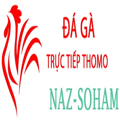 Đá Gà Trực Tiếp Thomo
