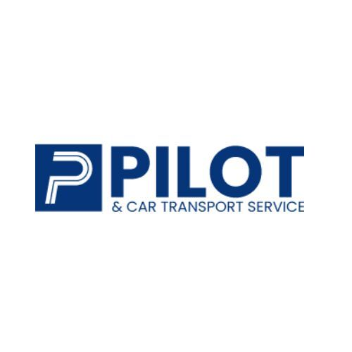 Pilot & Car Chauffeur Service Dubai