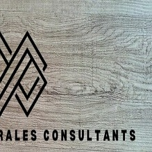 Abogados Laborales Consultants