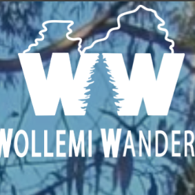 Wollemi Wanders