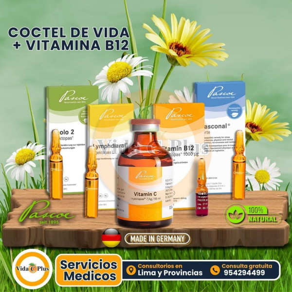 Vida C Plus - La verdadera megadosis de vitamina C