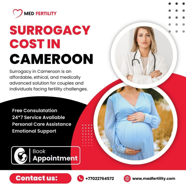 Surrogacy Cost in Cameroon