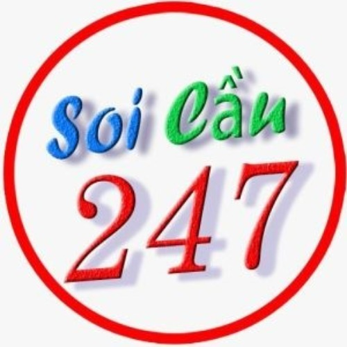 soicau247net - Startupxplore soicau247net