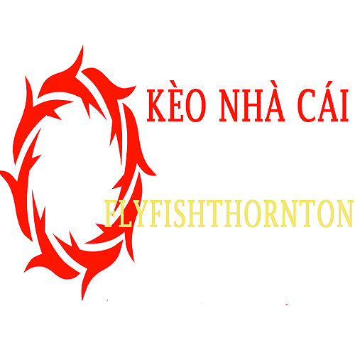 keonhacaiflyfish - Startupxplore keonhacaiflyfish