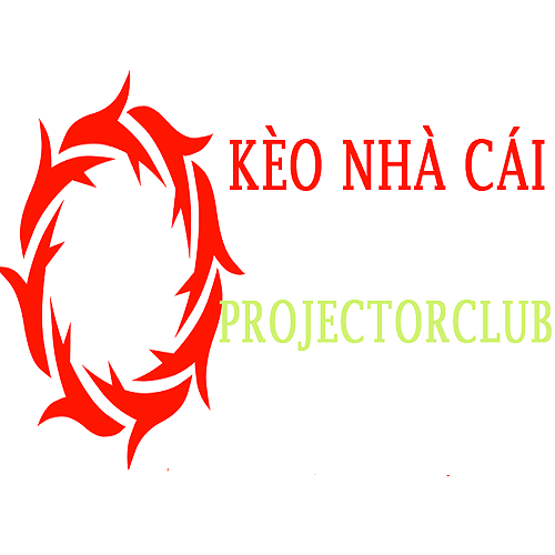 keonhacaiprojec - Startupxplore keonhacaiprojec