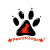 PawzNDogz