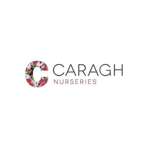 Caragh Nurseries