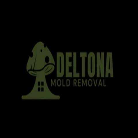 Deltona Mold Removal