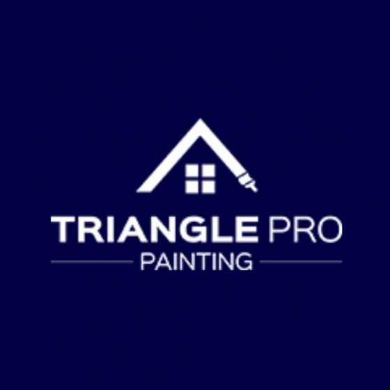 Triangle Pro Painting