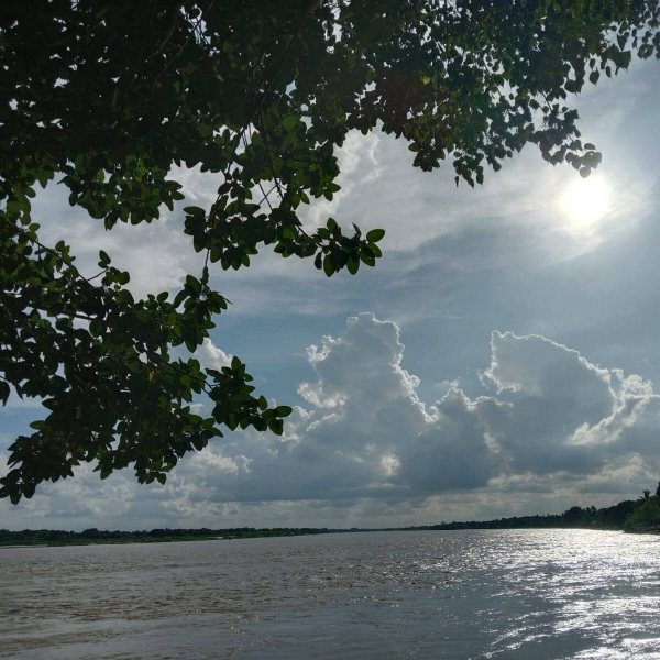 Chaci NYC California