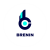 Brenin
