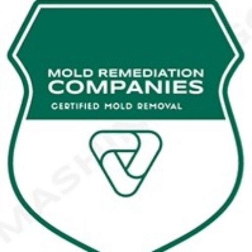 Centreville Mold Remediation Pros