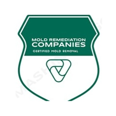 Virginia Beach Mold Remediation Pros