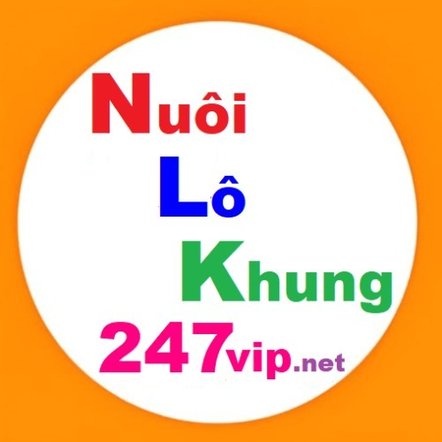 Nuôi Lô Khung 247 Vip - Website Soi cầu 247, Dự đoán Lô đề chính xác 100