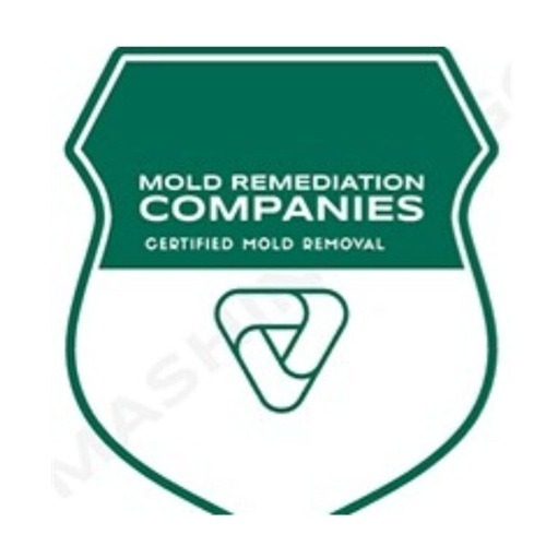 Sandy Springs Mold Remediation Pros