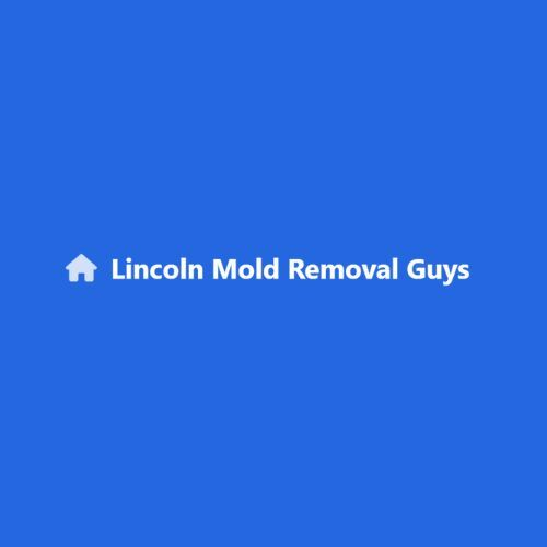 Lincoln Mold Removal Guys