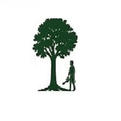 Standing Tall Tree Surgeon & Maintenance