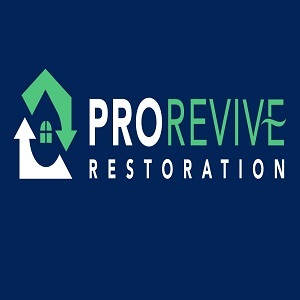 ProRevive Restoration