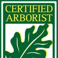 All About Trees Tree Service