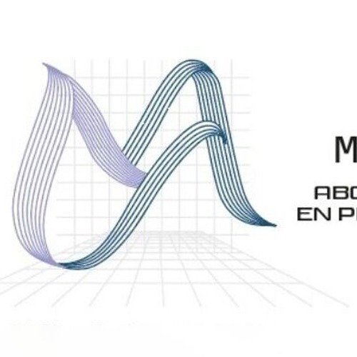 Mikel Arrasate | Abogado de Registro de Marcas en Mérida