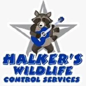 Halker's Wildlife Control Services