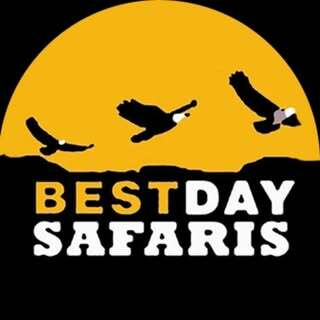 Bestday Safaris