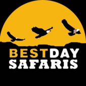 Bestday Safaris