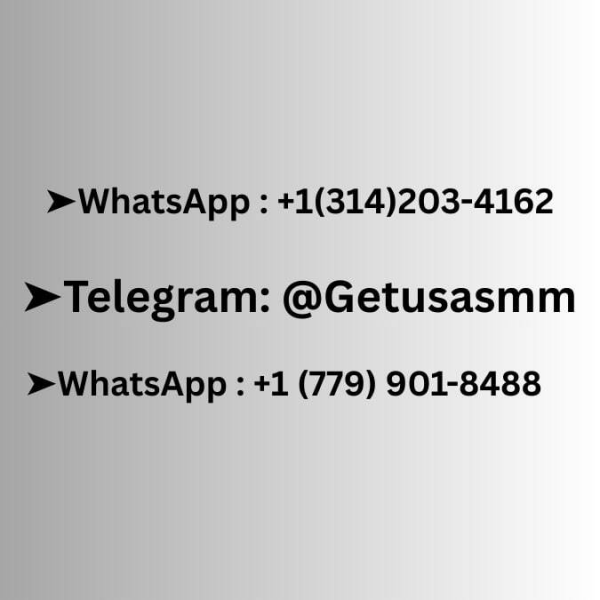 Where to Buying Telegram Accounts in Bulk A Comp