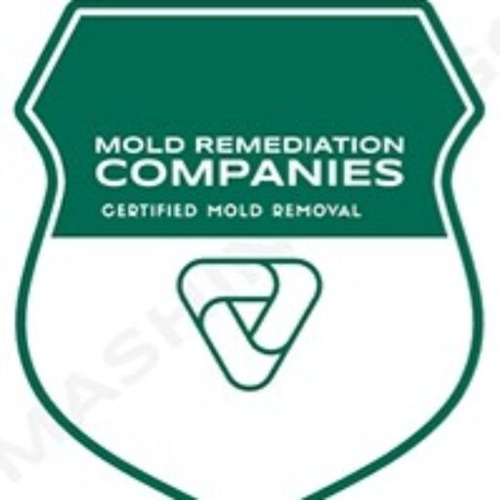 McLean Mold Remediation Pros
