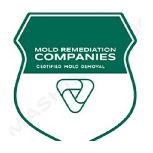 Hampton Mold Remediation Pros