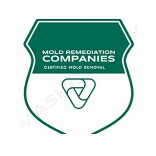 Roanoke Mold Remediation Pros