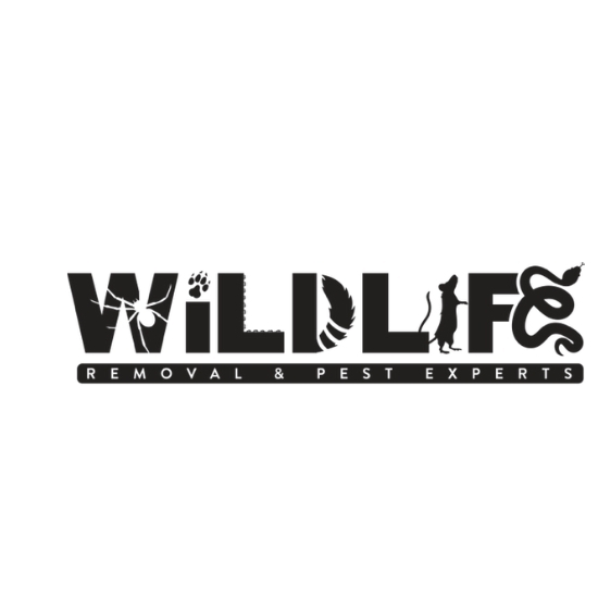 Wildlife Removal and Pest Experts