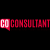 The CoConsultant