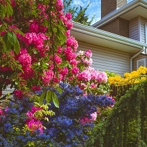 Brightpath Havant Landscaping