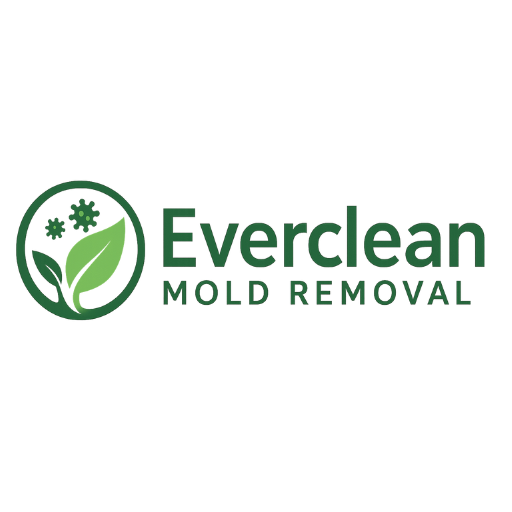 Everclean Mold Removal Of Orlando